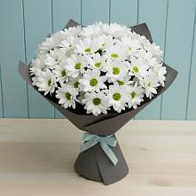 Букет цветов из:  Хризантемы в Домбаровский