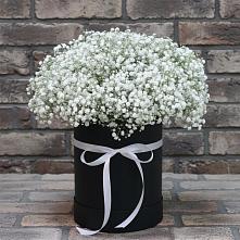 Цветочная композиция из Гипсофила в шляпной коробке в Домбаровский