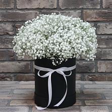 Цветочная композиция из Гипсофила в шляпной коробке в Домбаровский