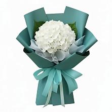 Букет цветов из:  Гортензия в Домбаровский
